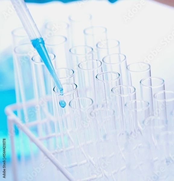 Obraz Scientist looking at chemical solution