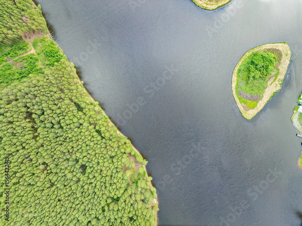 Obraz Aerial view of lake or river green shore with forest. Summer season.