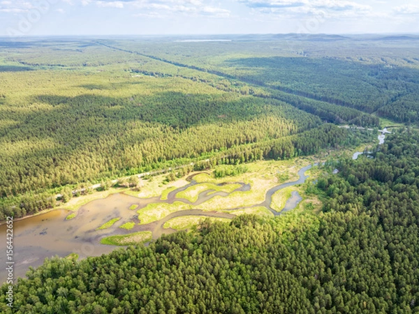 Obraz Aerial view of lake or river green shore with forest. Summer season.