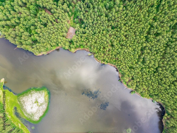 Obraz Aerial view of lake or river green shore with forest. Summer season.