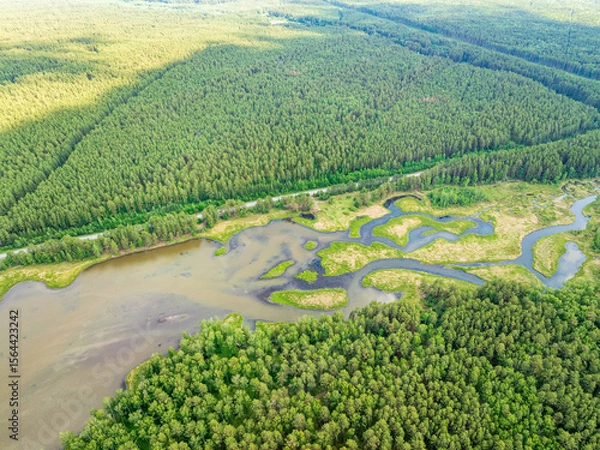 Obraz Aerial view of lake or river green shore with forest. Summer season.