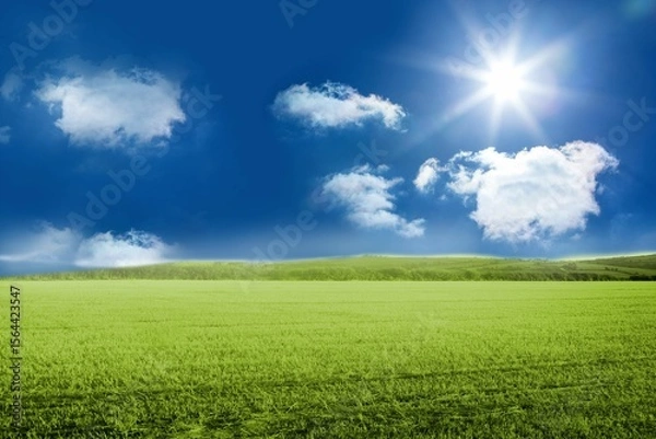 Fototapeta Expansive green field is stretching under deep blue sky with fluffy white clouds in flat design