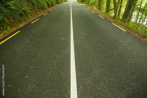 Fototapeta Flat-design asphalt road is curving into forest canopy with white center line and yellow markers