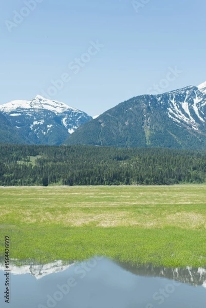 Fototapeta Scenic view of field and mountains