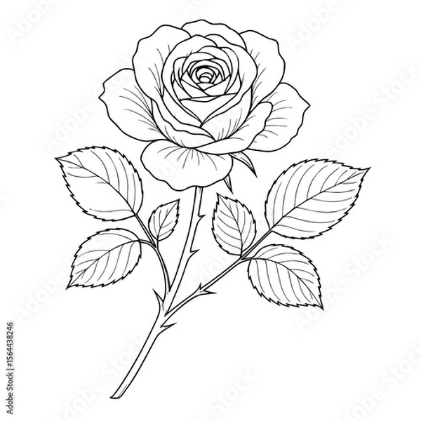 Obraz Black and white vector line art of a blooming rose with detailed leaves, isolated on a white background, perfect for coloring books.
