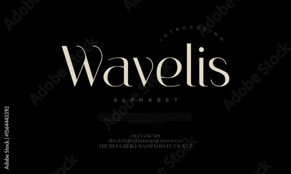 Fototapeta High-contrast modern serif font with clean curves and stylish elegance, ideal for high-end design and branding
