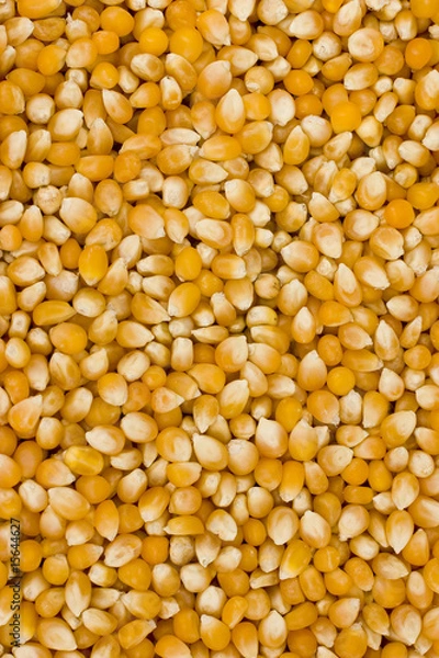 Fototapeta Popcorn Grain