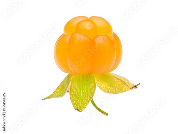Fototapeta Single ripe cloudberry isolated on white background, showcasing its vibrant orange color and unique segmented structure, perfect for illustrating Scandinavian nature or healthy eating concepts.