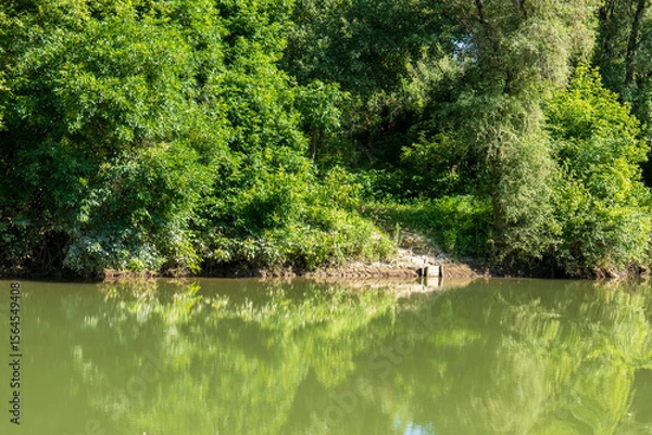 Fototapeta Simple fishing spot on the bank of the Bodrog river. Green trees and calm water with reflection on a sunny summer day.