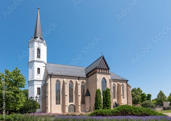 Fototapeta St. Elizabeth Basilica in Sárospatak, Hungary. A Gothic Catholic basilica with a tall white spire, large windows, and castle walls. Historic landmark under the Archdiocese of Eger.