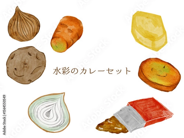 Obraz 水彩で描いたカレーセット粉末の料理食材の水彩ベクターイラスト素材	一式
