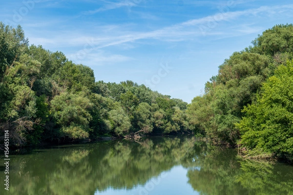 Fototapeta Calm Bodrog river flowing through green forest with clear blue sky. Reflection of trees on the water surface on a sunny summer day.