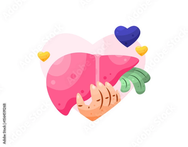 Fototapeta the concept of concern for liver organ health awareness. care and be aware of health. illustration of a hand holding a liver organ with a heart symbol. flat style design. world hepatitis day elements
