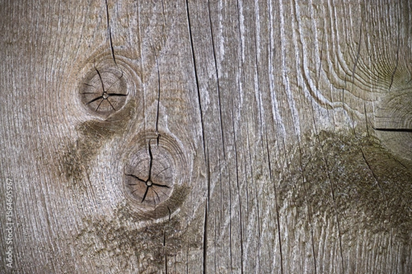 Obraz Detailed image of textured weathered wood showing knots and cracks in a close-up view.