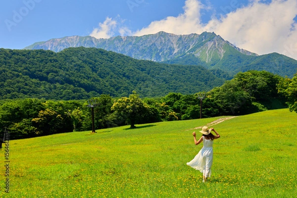 Obraz 草原と伯耆富士