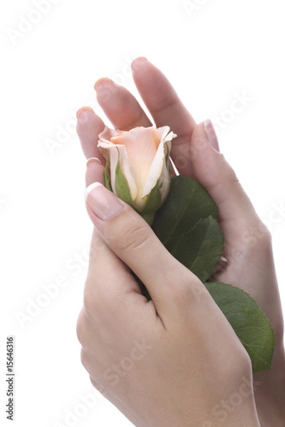 Obraz hands_on_white03