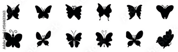 Obraz Butterfly silhouette on white background vector file. A collection of various black butterfly silhouettes in different flying and resting poses, Vector illustration