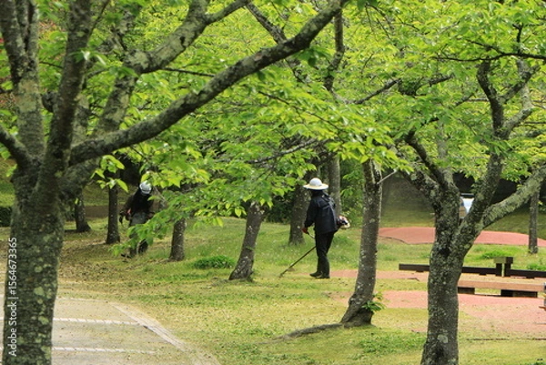 Obraz 新緑の公園を管理する人