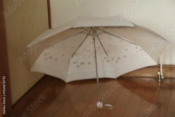 Obraz 室内で傘の陰干し
