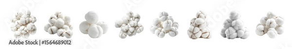 Fototapeta Multiple Arrangements of Fluffy Cotton Bolls Against a transparent background Generative AI