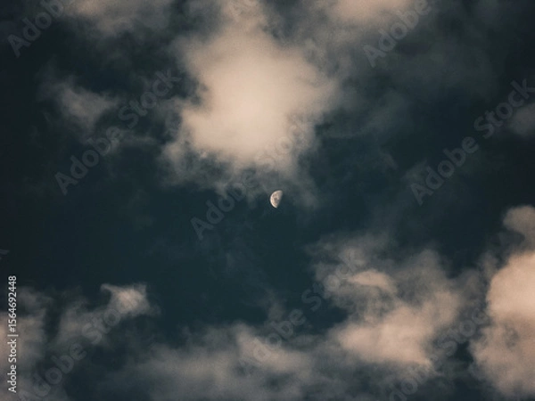 Obraz clouds in the sky