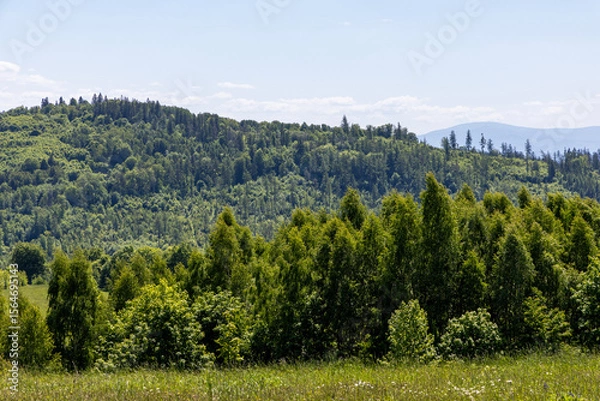 Obraz Mountain landscape. Eastern Sudetes Mountains on the border of Poland and the Czech Republic