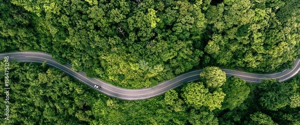 Obraz Road in the middle of the forest , trees with red and orange leaves , Beautiful landscape view from flying drone in Nature