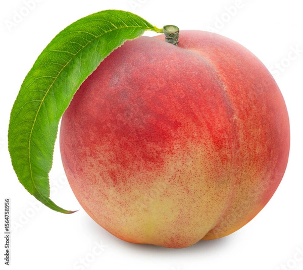 Fototapeta Japanese Snow White Peach drop from the air isolated on white background, Fresh White Peach on White Background With clipping path.