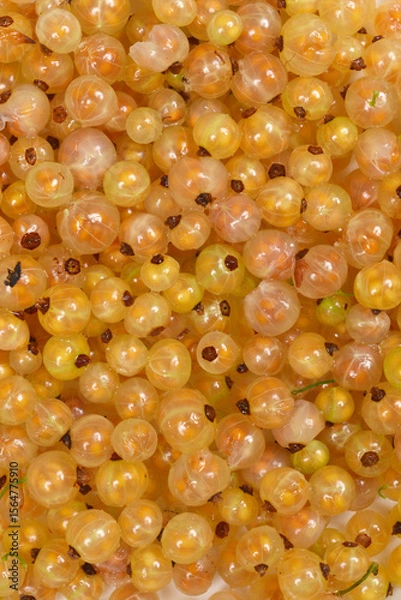 Obraz A vibrant close-up, top-down shot of a large pile of translucent white currants, filling the frame with their delicate, round forms