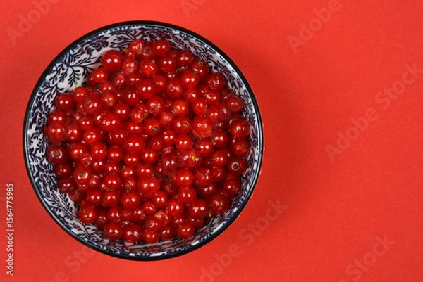 Obraz A top-down shot of a decorative blue and white bowl filled with vibrant red currants, placed on a striking red background with ample copy space.