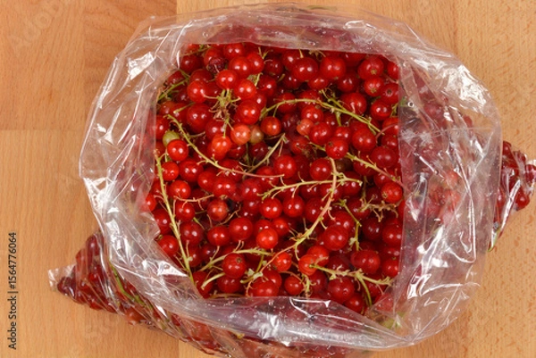 Obraz A top-down view of vibrant red currants with their green stems, freshly packed in a clear plastic bag on a wooden surface