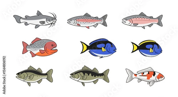 Fototapeta Vector different types of fish identification guide for anglers and marine life enthusiasts with detailed images