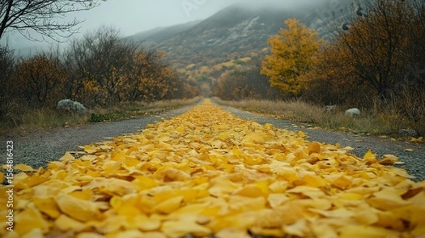Obraz Serene autumn forest road with golden leaves and mist evokes seasonal travel, tranquility, and connection to nature