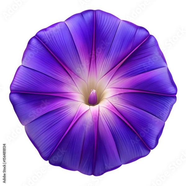 Fototapeta A stunning purple morning glory flower, isolated on transparent background, with its petals creating a captivating pattern