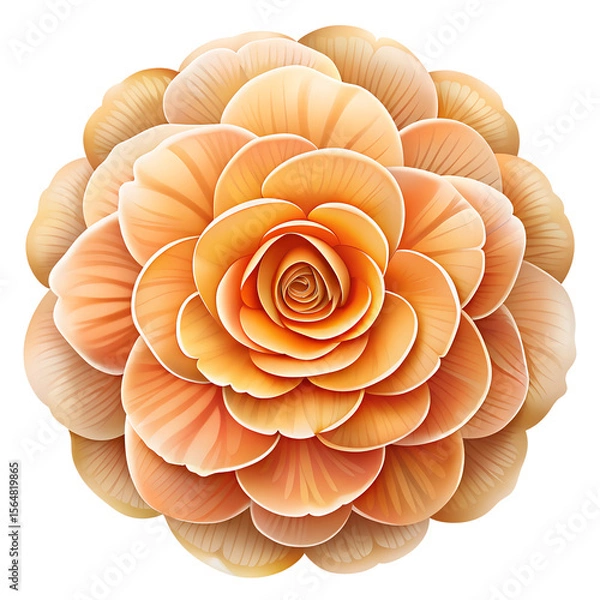 Fototapeta A captivating orange flower blooms in a layered spiral pattern, isolated on transparent background