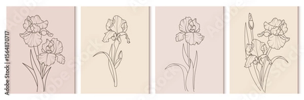 Fototapeta A set of elegant backgrounds with iris flowers. A poster or cover in soft colors. A vector for flyers, postcards, design, social media, and advertising.
