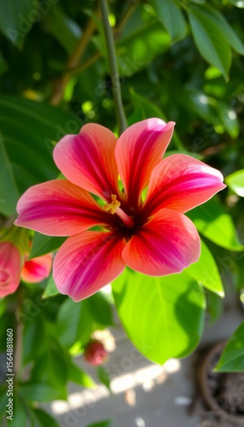 Obraz Zarte Frühlingsblume mit Tautropfen – Märchenhafte Nahaufnahme