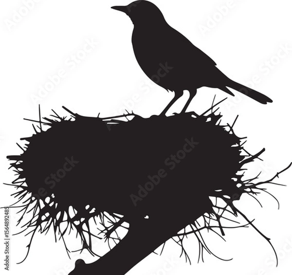 Obraz bird in nest silhouette