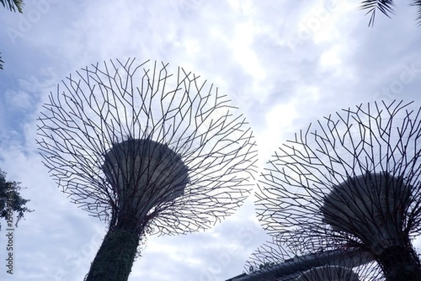 Obraz シンガポール観光