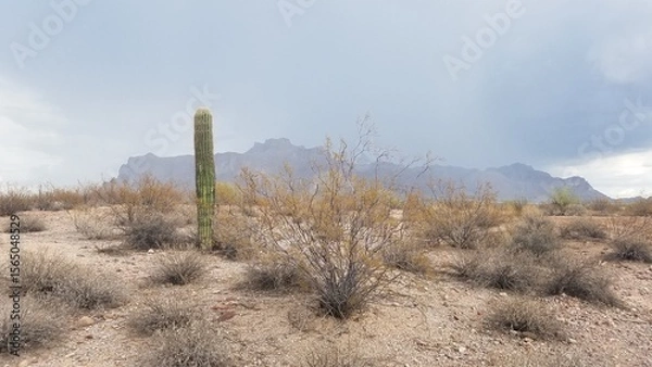 Fototapeta Stormy Day Looking at the Superstition Mountains from Apache Junction, Arizona