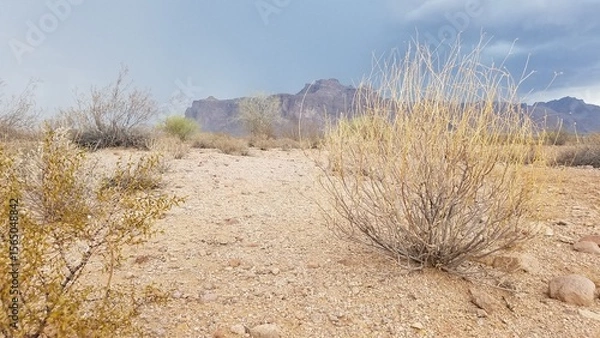 Fototapeta Hiking Towards the Superstition Mountains, Stormy Day, Apache Junction, Arizona 