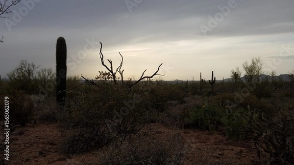 Fototapeta Moody Day in the Superstition Mountains, Hiking from Broadway Trailhead