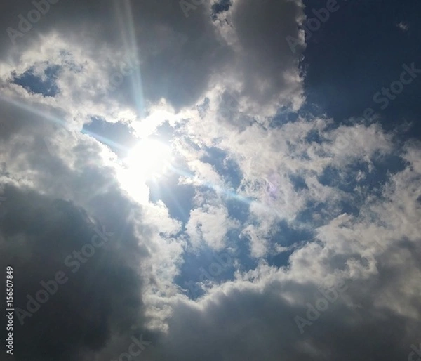 Obraz Sunlight
