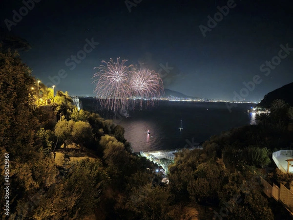 Obraz Fireworks in Night Sky