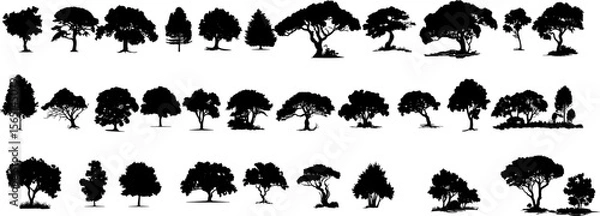 Fototapeta Tree Vector Set | Flat Black Trees Collection on White Background


