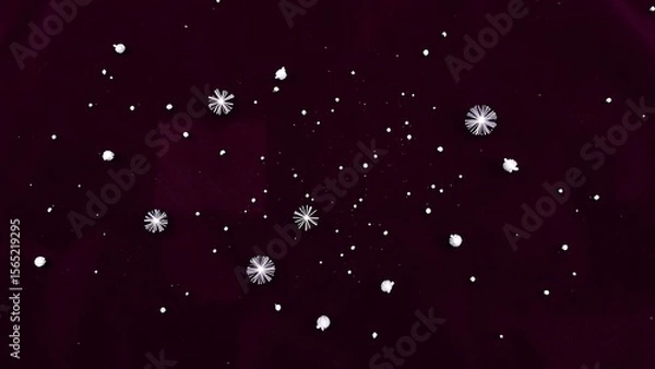 Fototapeta Astronomical Snowflake Pattern