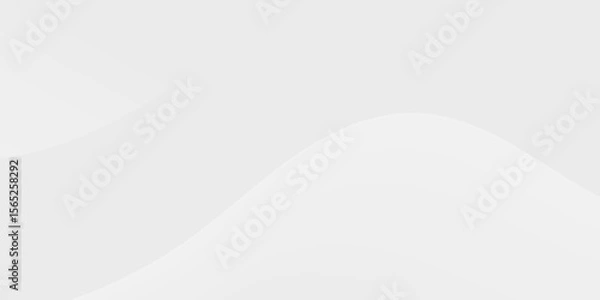 Fototapeta Soft, curved, white lines overlay a light gray background to provide a neutral graphic banner. It serves as an aesthetic division in the page layout.