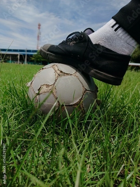 Obraz soccer ball on the grass