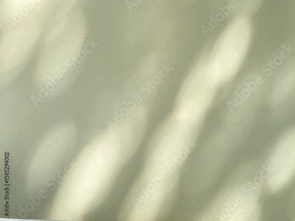 Obraz Blurred sunlight and tree shadow on the wall with a copy space for your work.