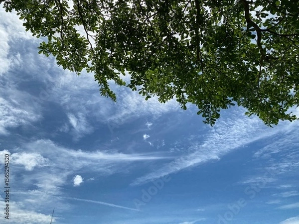 Obraz sky and clouds